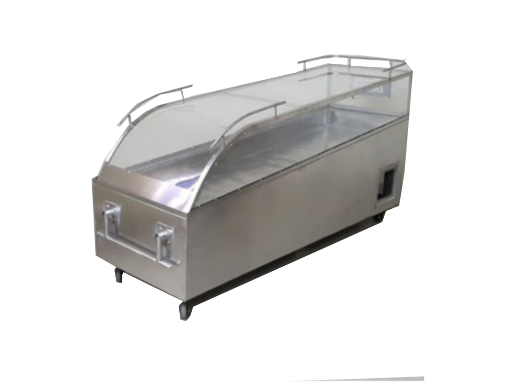 Single Body Mortuary Freezer 